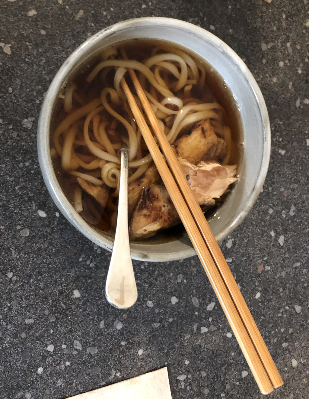 tasty udon